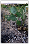 [Click to enlarge]
