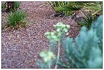 [Click to enlarge]