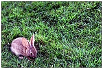 [Click to enlarge]